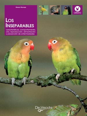 cover image of Los inseparables